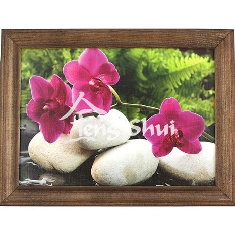 Feng shui obraz Orchidea 8, 20 x 15 cm