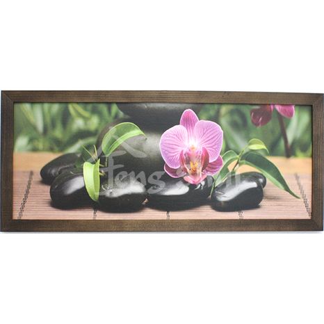 Feng shui obraz Orchidea 15, 53x23 cm