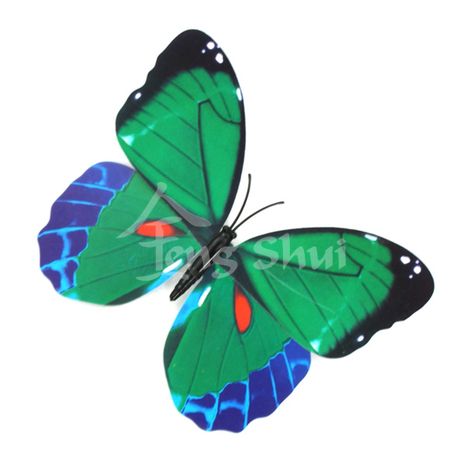 Motýl - symbol duše a štěstí 10, magnetka