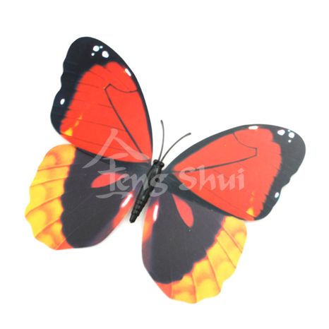Motýl - symbol duše a štěstí 6, magnetka