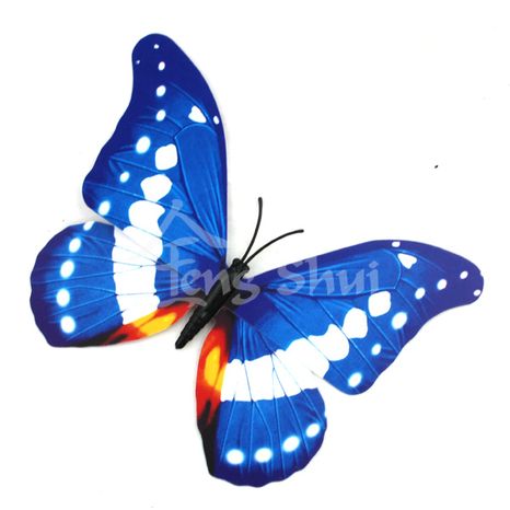 Motýl - symbol duše a štěstí 11, magnetka