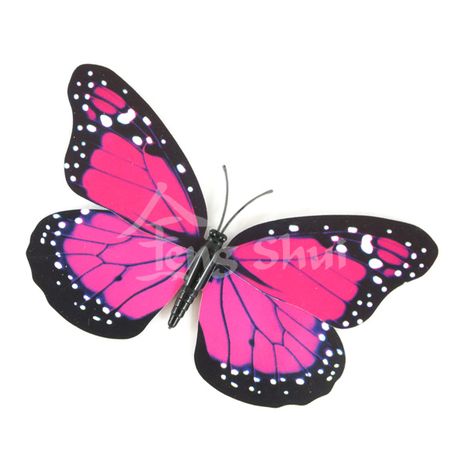 Motýl - symbol duše a štěstí 13, magnetka
