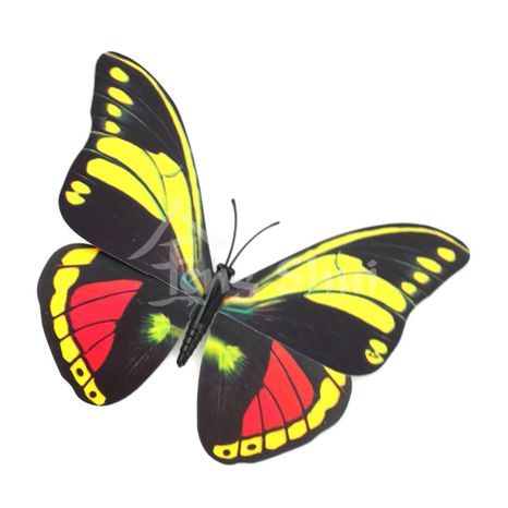 Motýl - symbol duše a štěstí 7, magnetka