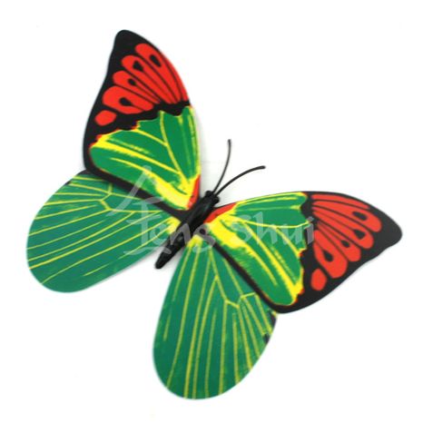 Motýl - symbol duše a štěstí 3, magnetka