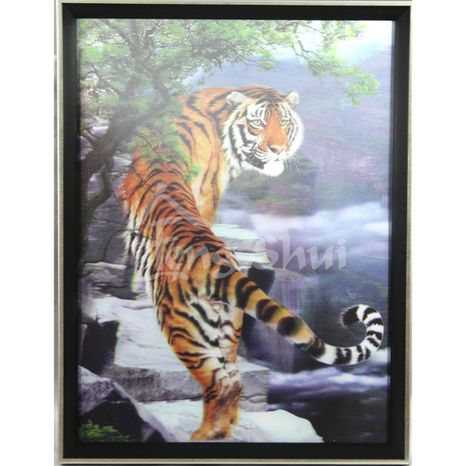 Obraz Tiger na ochranu