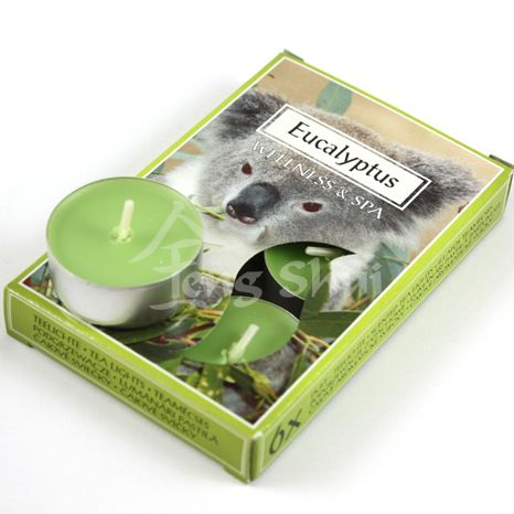 Voňavé čajové svíčky Eukalyptus